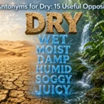 Antonyms for dry showing wet, moist, damp, and humid contrasts