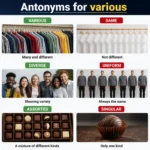 Various objects compared with identical, uniform, and single alternatives